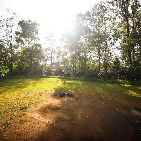Misty Valley Hill Resorts Nelliyampathy Exterior photo